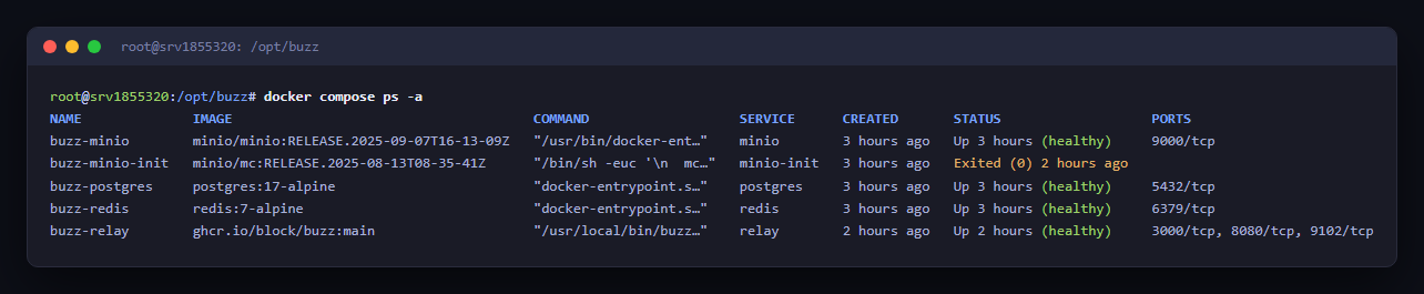 Terminal: docker compose ps -a — relay, postgres, redis und minio Up (healthy), buzz-minio-init Exited (0)