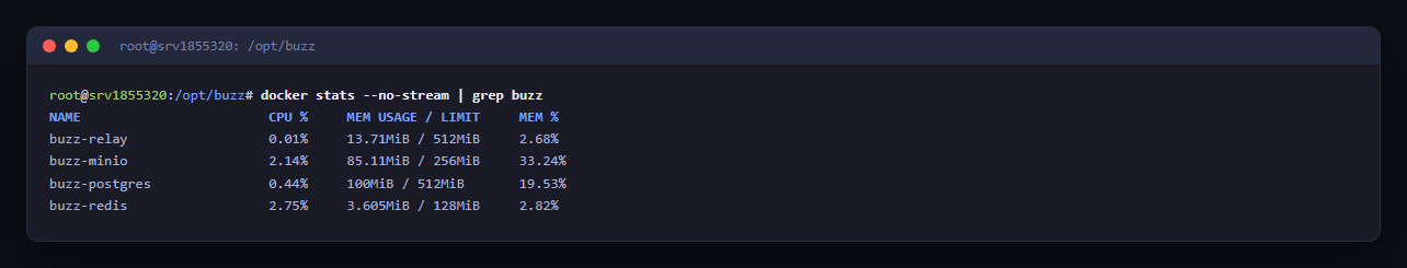 Terminal: docker stats der vier Buzz-Container mit Leerlauf-CPU- und RAM-Werten im zweistelligen MB-Bereich
