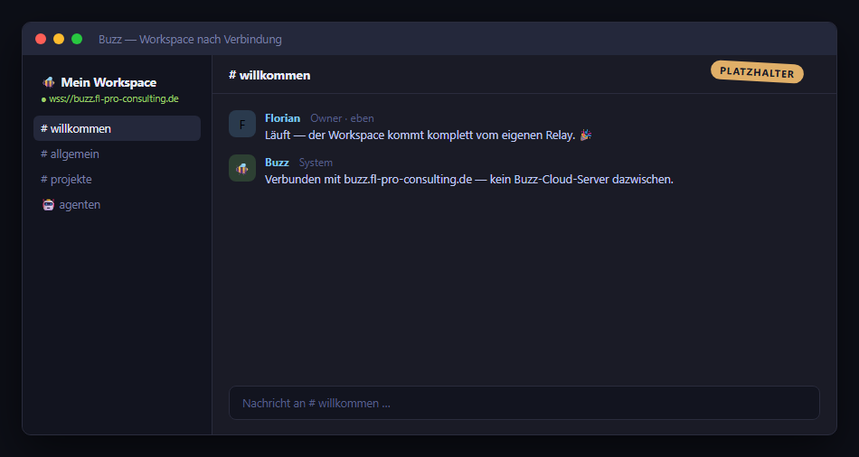 Buzz-Workspace nach Verbindung: Channel-Liste, Willkommens-Channel und Relay-URL wss://buzz.fl-pro-consulting.de — Platzhalter-Mockup, echte Aufnahme folgt
